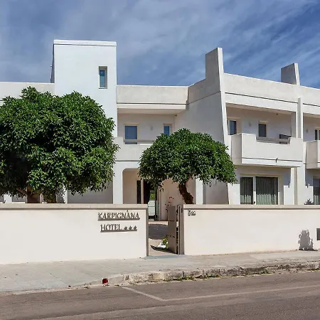 Karpignana Hotel 3*